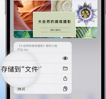 新兴apple维修中心分享iPhone文件应用中存储和找到下载文件