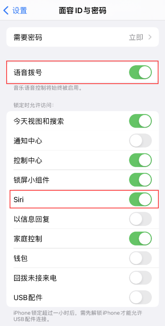 新兴苹果维修网点分享不解锁 iPhone 的情况下通过 Siri 拨打电话的方法 