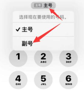 新兴苹果14维修店分享iPhone 14 Pro Max使用副卡打电话的方法 