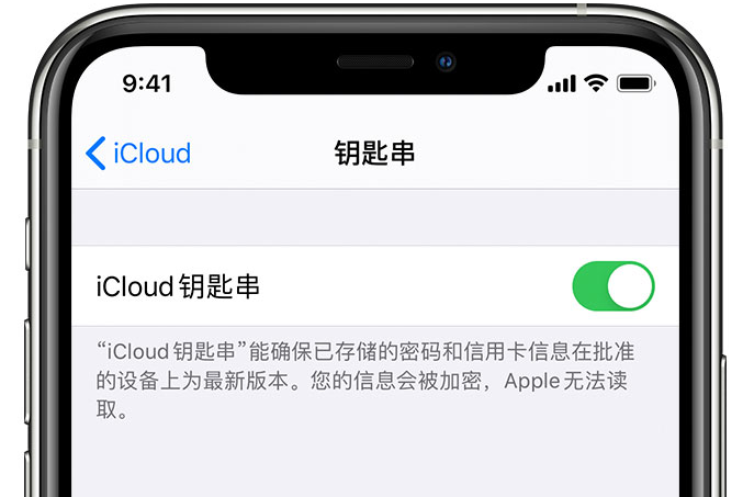 新兴苹果手机维修分享在 iPhone 上开启 iCloud 钥匙串之后会储存哪些信息 