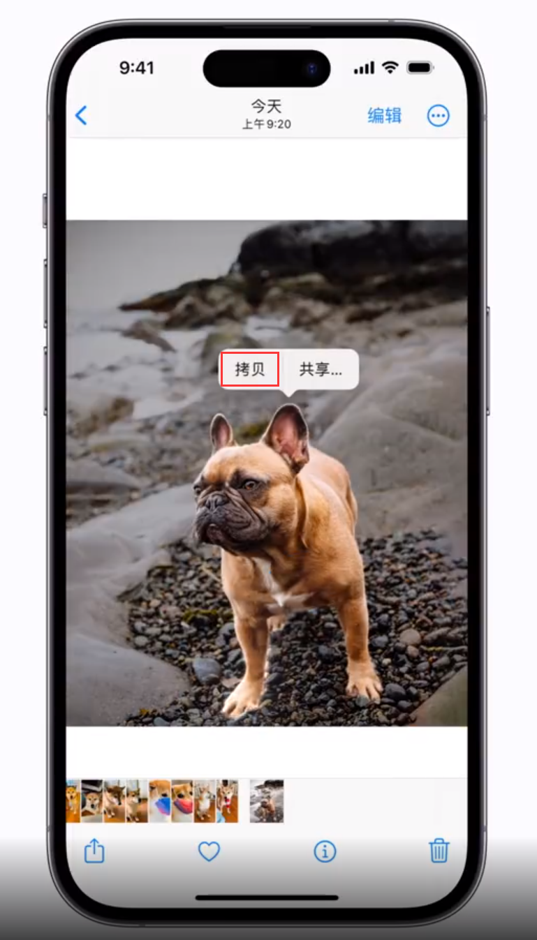 新兴 苹果手机维修分享iOS 16 “照片”应用更新内容与改进汇总 