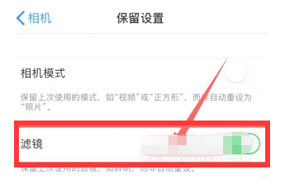 新兴苹果13维修分享iPhone13拍照有绿点是怎么回事 