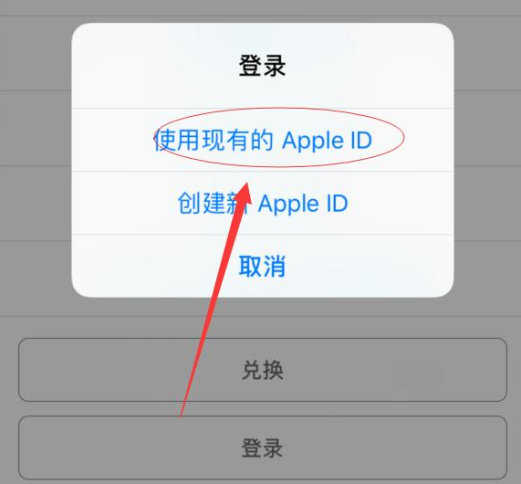 新兴苹果手机维修分享两台iPhone设备可以同时登录一个Apple ID吗 
